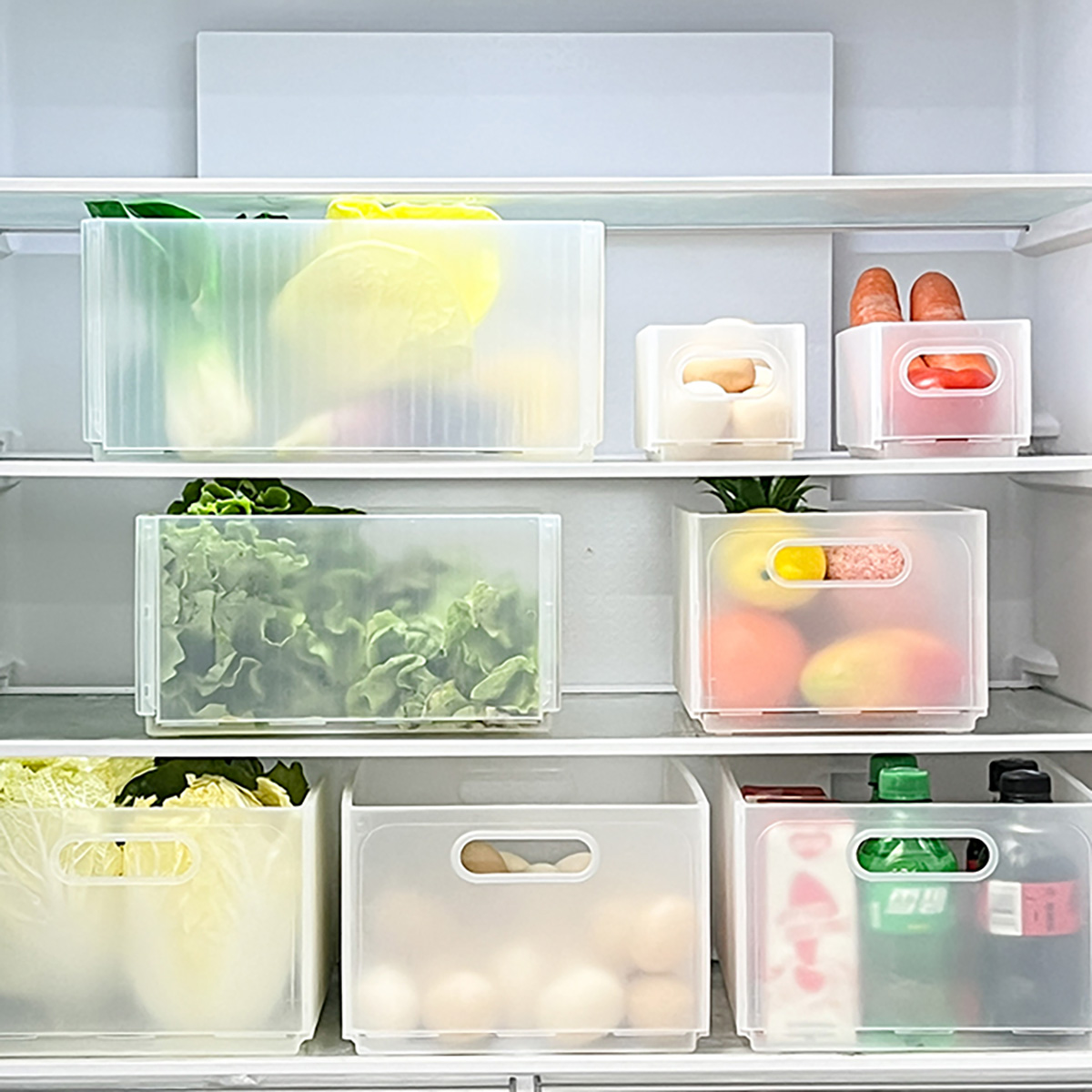 WORTHBUY Plastik Katlanır Buzd - Food Storage Without Plastic incelemesi ve fiyatı