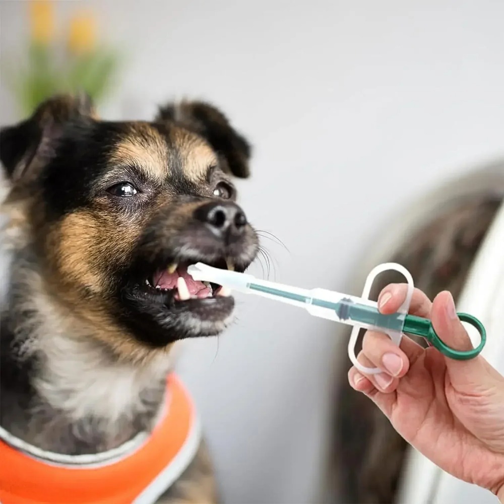 Köpek Kedi Aksesuarları Evcil  - Food Storage Youtube incelemesi ve fiyatı