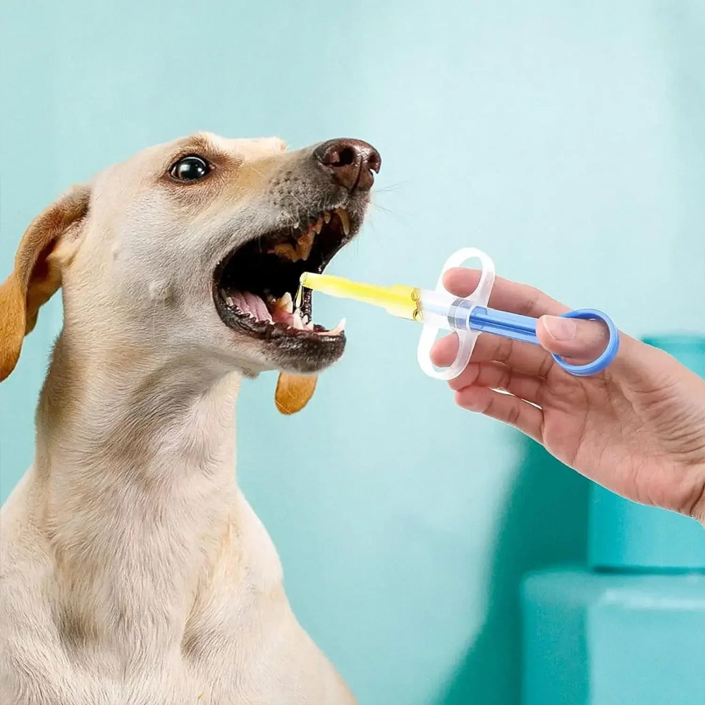 Köpek Kedi Aksesuarları Evcil  - Food Storage Youtube incelemesi ve fiyatı
